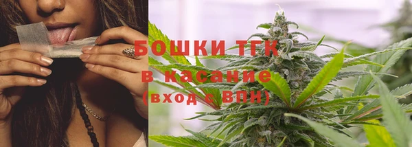 PSILOCYBIN Алексеевка