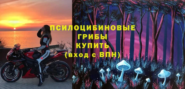 PSILOCYBIN Алексеевка
