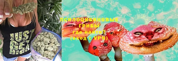 соль ск Алексин
