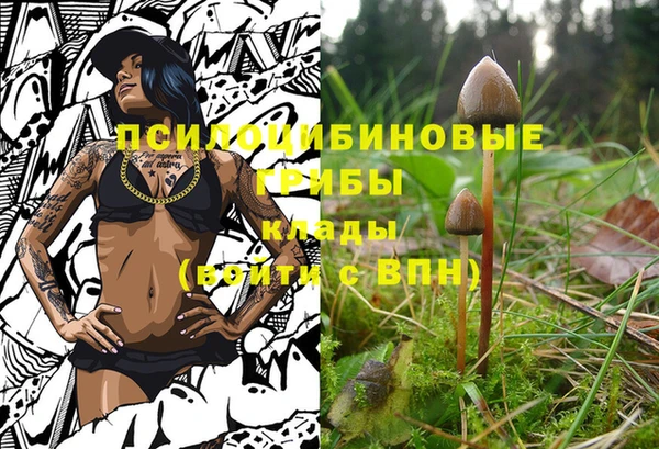 меф Нефтегорск