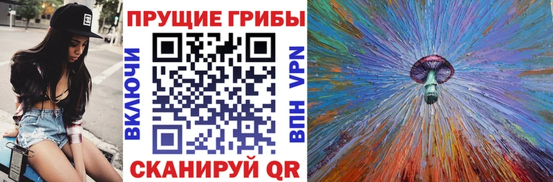 Галлюциногенные грибы Cubensis Невинномысск