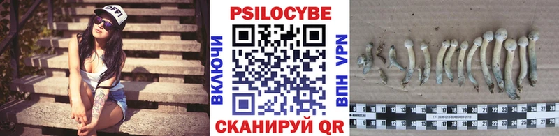Галлюциногенные грибы мицелий  Невинномысск 