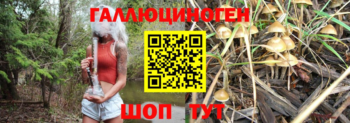 Невинномысск  Галлюциногенные грибы MAGIC MUSHROOMS  Вход с VPN  Псилоцибиновые грибы Psilocybe 